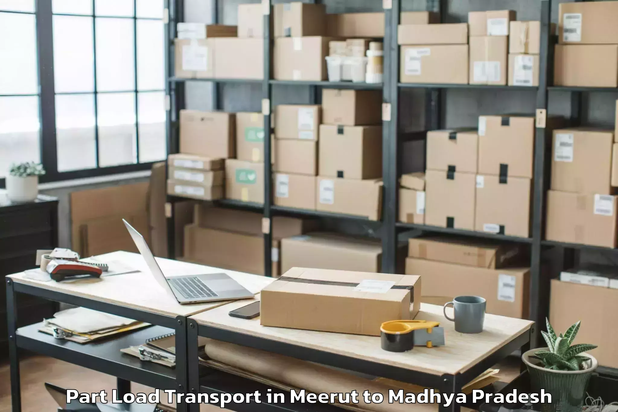 Efficient Meerut to Sanwer Part Load Transport